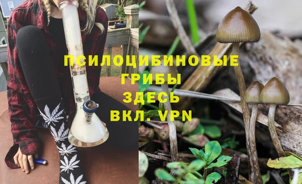 герыч Арсеньев