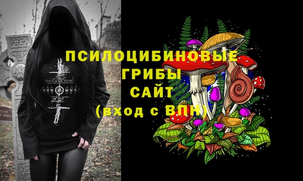 герыч Арсеньев