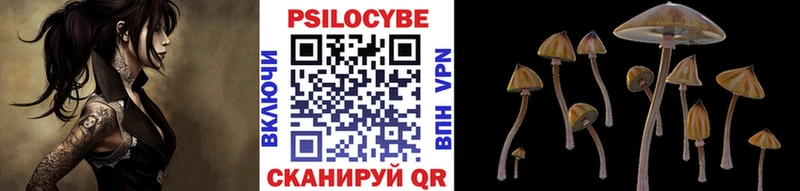 Галлюциногенные грибы мицелий  Мамадыш 